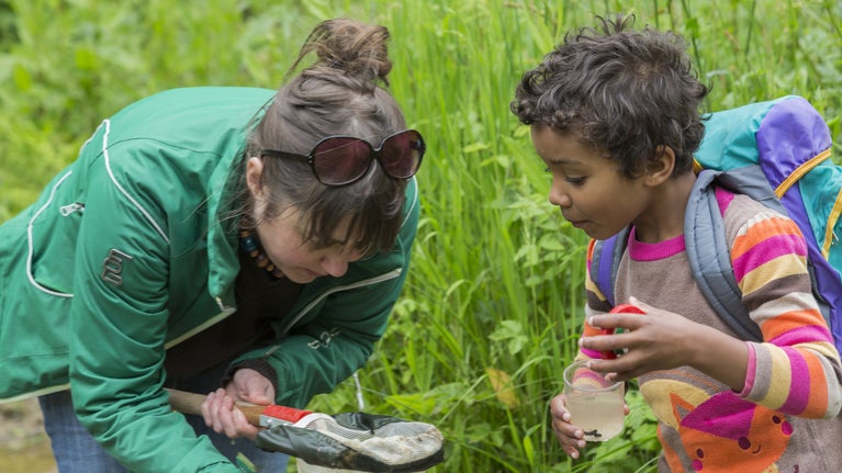 Looking for pond life